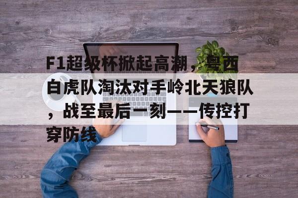贝博体育- F1超级杯掀起高潮，粤西白虎队淘汰对手岭北天狼队，战至最后一刻——传控打穿防线